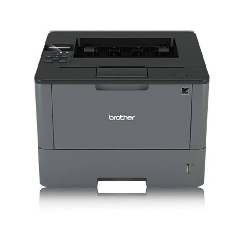 Brother HL-L5000D, S/W-Laser (HLL5000DG1)