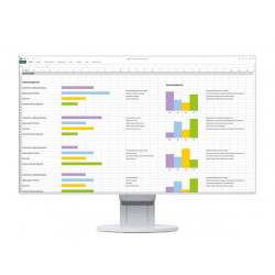 Eizo 24" EV2451-WT IPS LED