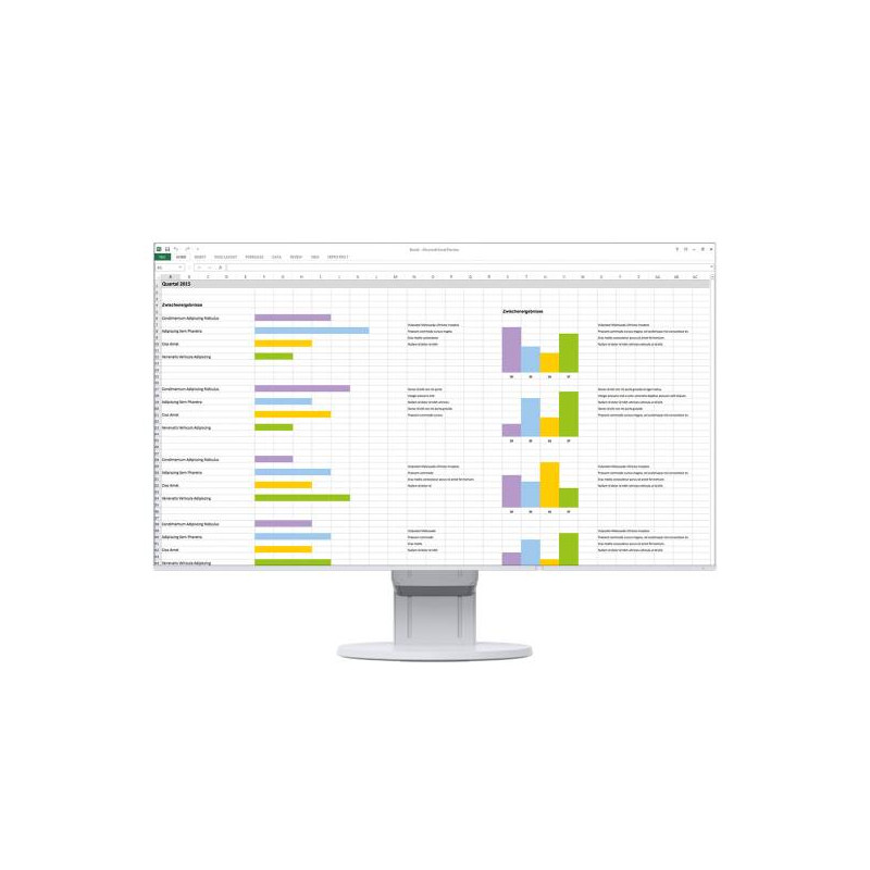 Eizo 24" EV2451-WT IPS LED