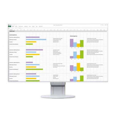 Eizo 24" EV2451-WT IPS LED