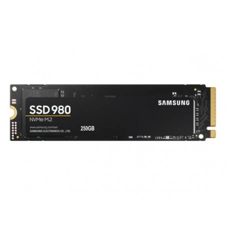 Samsung 250GB M.2 2280 NVMe 980 Basic (MZ-V8V250BW)