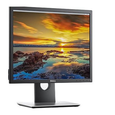 Dell Professional P1917SWH weiß, 19"