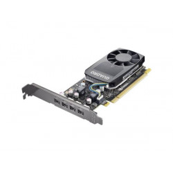 Lenovo Quadro P620 2GB GDDR5 (4X60R60468)