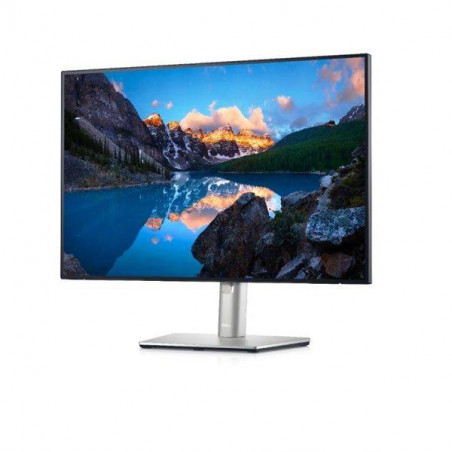 Dell 24,1" U2421E LED (210-AXMB)