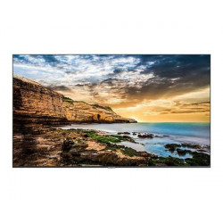 Samsung 43" QE43T Display LED
